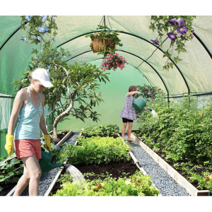 Теплица садовая - парник Holla Garden Польша 6м2 (300х200х200) арт. 2135888773