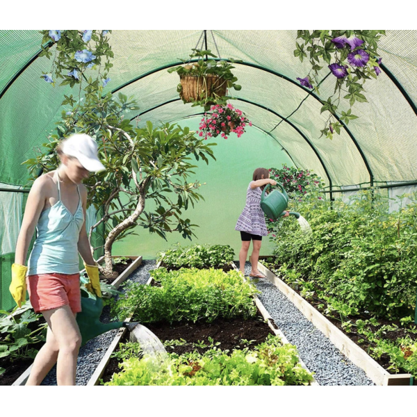 Теплица садовая - парник Holla Garden Польша 6м2 (300х200х200) арт. 2135888773 Теплица садовая - парник Holla Garden Польша 6м2 (300х200х200) арт. 2135888773